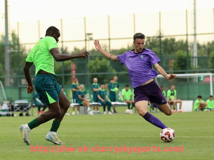 星空体育-法甲球员成就分析:从数据看球员职业生涯的关键里程碑