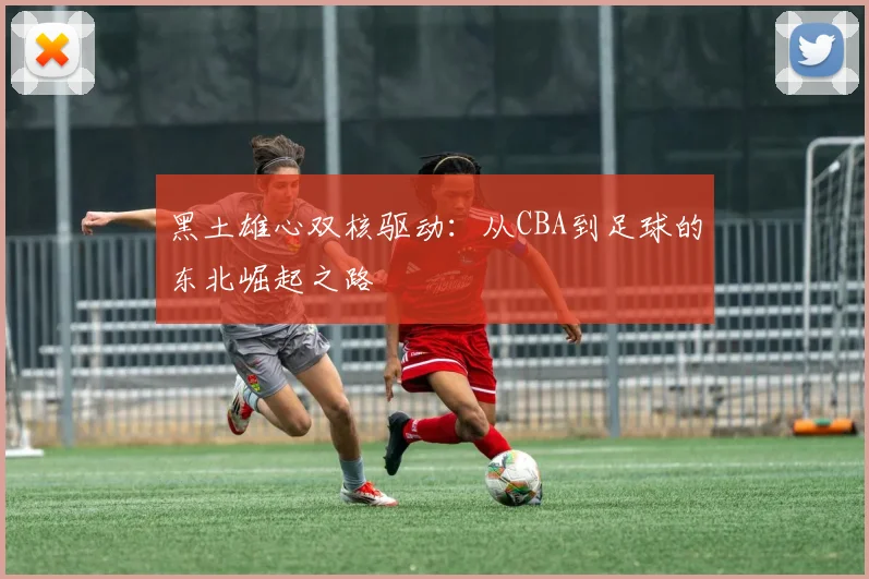 黑土雄心双核驱动：从CBA到足球的东北崛起之路