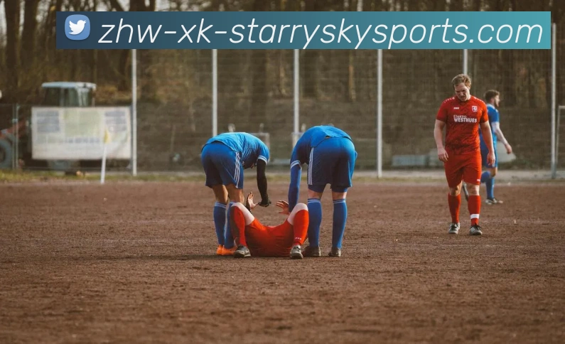 星空体育服务体系